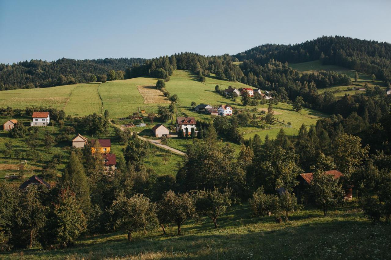 Pasieka - Dom Wypoczynkowy Bacza Екстер'єр фото
